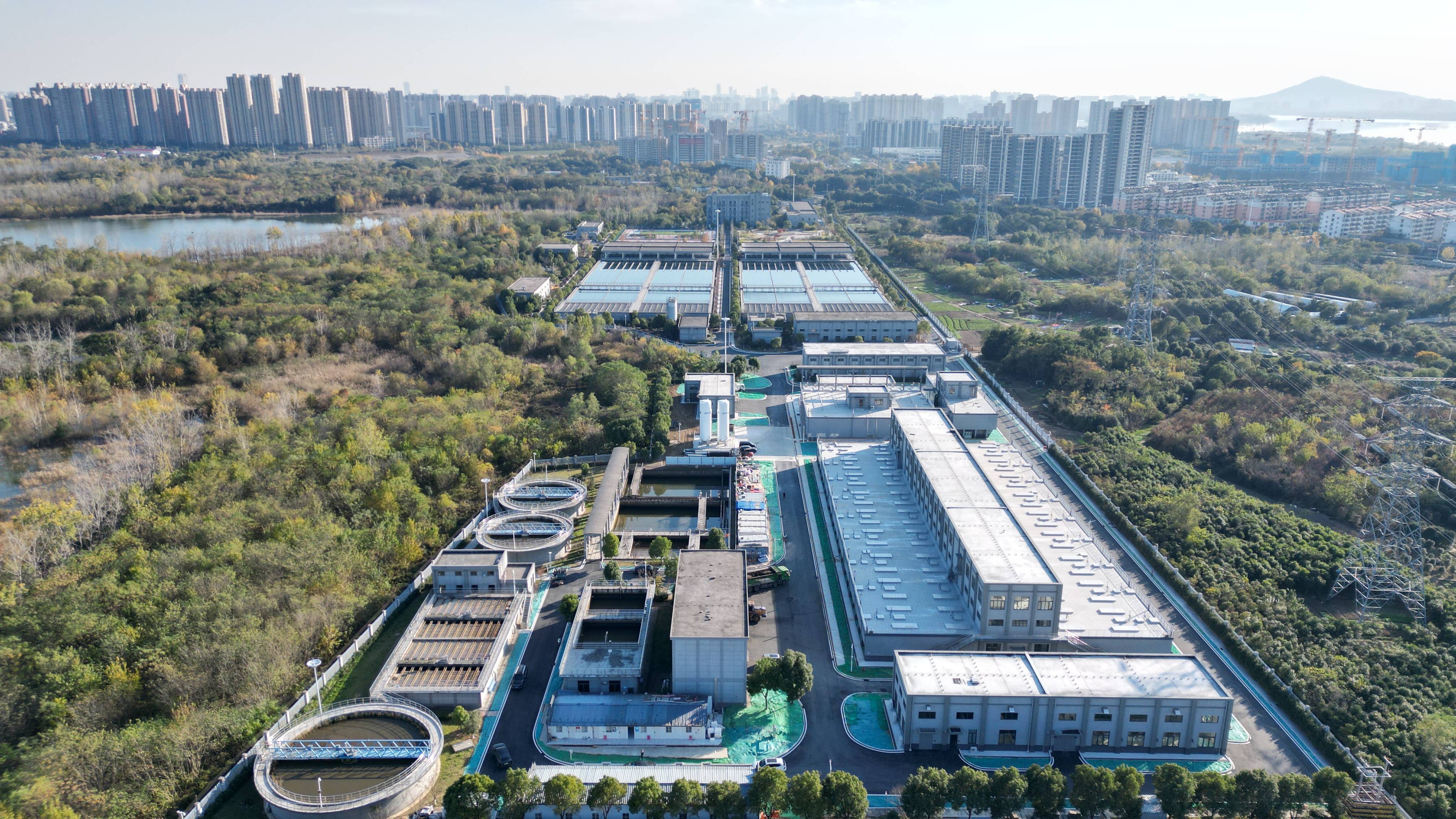 白山市合肥专业企业价值增长(合肥市重点企业产业目录)