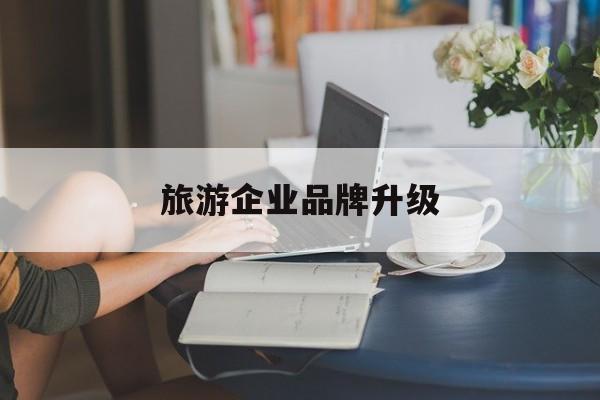 白山市旅游企业品牌升级(旅游企业品牌升级措施)
