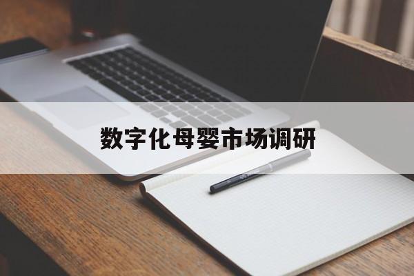 白山市数字化母婴市场调研(数字化母婴市场调研报告)